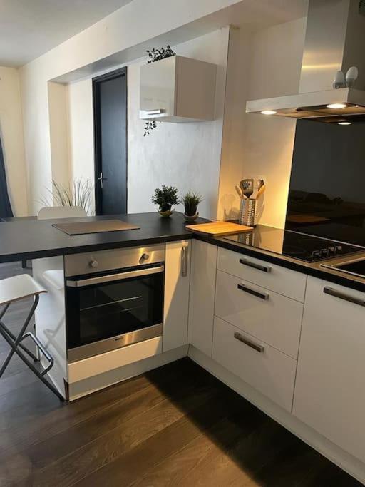 Le Cocon Des Horizons Lägenhet Rennes Exteriör bild